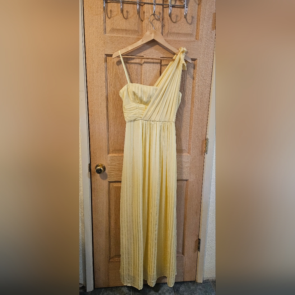 Size 6 BCBG Max Azria "Pale Green" Elegant Grecian Style Evening Gown